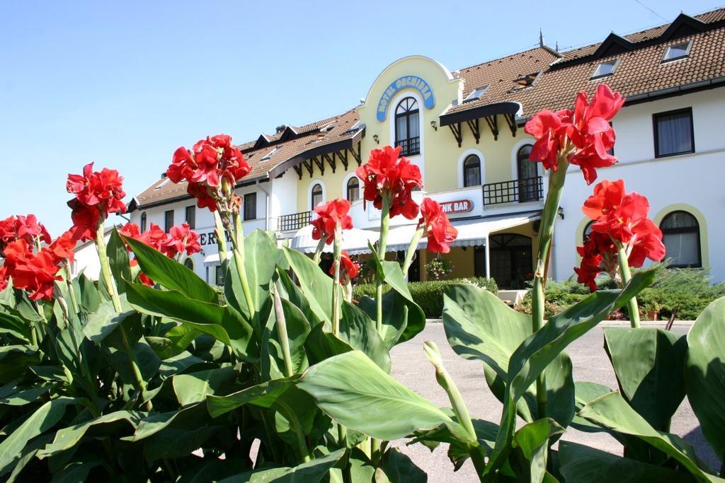 Hotel Orchidea Balástya Esterno foto